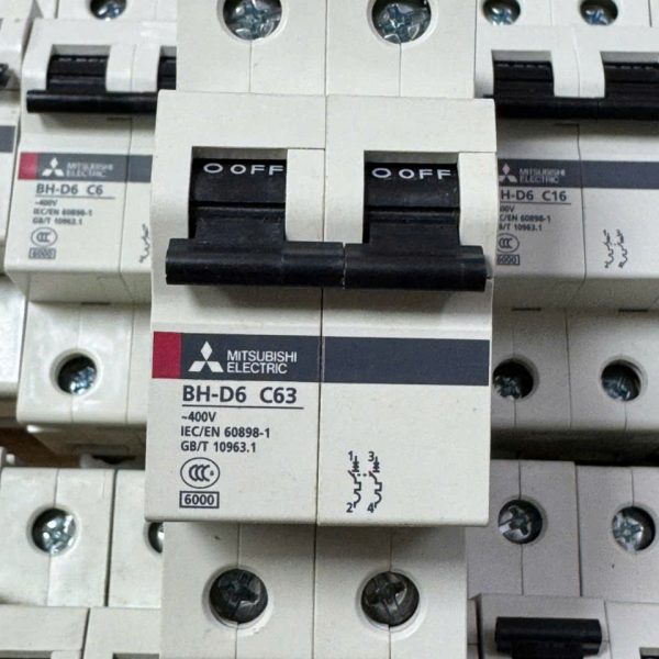 CẦU DAO ĐIỆN BH-D6 2P 63A TYPE C N